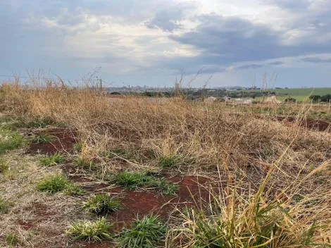 imagem 3 - Terreno de 315m² com espaço amplo à venda - Fazenda Santa Rita do Picadão imagem 3 - Terreno de 315m² com espaço amplo à venda - Fazenda Santa Rita do Picadão