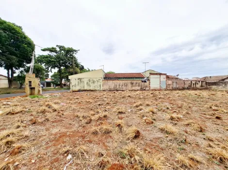 imagem 4 - Terreno de 396m² para venda e locação - Jardim Piratininga imagem 4 - Terreno de 396m² para venda e locação - Jardim Piratininga