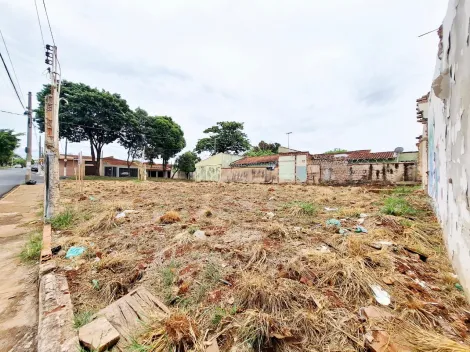 imagem 5 - Terreno de 396m² para venda e locação - Jardim Piratininga imagem 5 - Terreno de 396m² para venda e locação - Jardim Piratininga