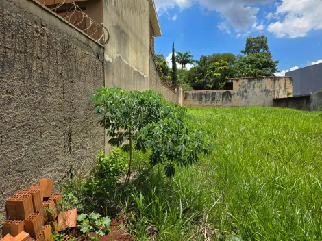 imagem 4 - Terreno murado de 517m² à venda - City Ribeirão imagem 4 - Terreno murado de 517m² à venda - City Ribeirão