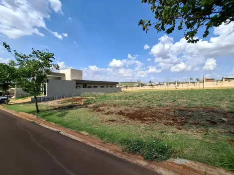 imagem 3 - Terreno de 275m² à venda em condomínio - Quinta da Mata imagem 3 - Terreno de 275m² à venda em condomínio - Quinta da Mata