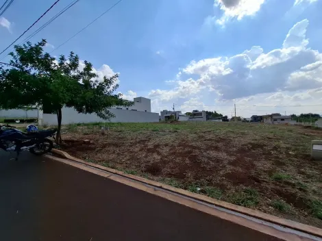 imagem 2 - Terreno de 250m² à venda em condomínio - Quinta da Mata imagem 2 - Terreno de 250m² à venda em condomínio - Quinta da Mata