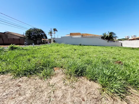 imagem 1 - Terreno de 505m² à venda - City Ribeirão imagem 1 - Terreno de 505m² à venda - City Ribeirão