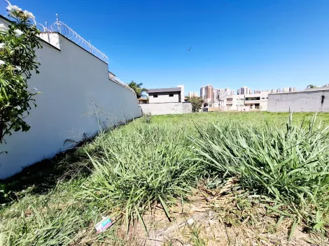 imagem 1 - Terreno de 495m² à venda - City Ribeirão imagem 1 - Terreno de 495m² à venda - City Ribeirão