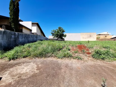 imagem 5 - Terreno de 495m² à venda - City Ribeirão imagem 5 - Terreno de 495m² à venda - City Ribeirão