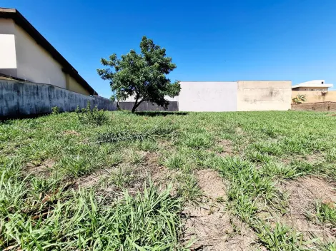 imagem 1 - Terreno de 490m² à venda - City Ribeirão imagem 1 - Terreno de 490m² à venda - City Ribeirão