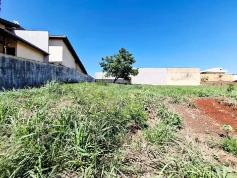 imagem 2 - Terreno de 490m² à venda - City Ribeirão imagem 2 - Terreno de 490m² à venda - City Ribeirão