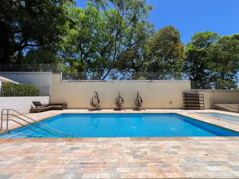imagem 1 - Apartamento de 46m² com 02 quartos para locação- City Ribeirão imagem 1 - Apartamento de 46m² com 02 quartos para locação- City Ribeirão