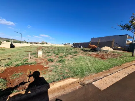 imagem 2 - Terreno amplo de 293m² à venda em condomínio - Quinta da Mata imagem 2 - Terreno amplo de 293m² à venda em condomínio - Quinta da Mata