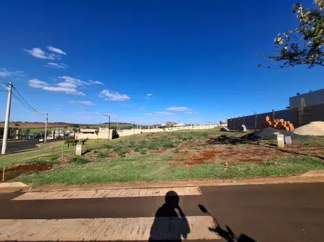 imagem 1 - Terreno amplo de 293m² à venda em condomínio - Quinta da Mata imagem 1 - Terreno amplo de 293m² à venda em condomínio - Quinta da Mata