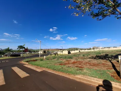 imagem 3 - Terreno amplo de 293m² à venda em condomínio - Quinta da Mata imagem 3 - Terreno amplo de 293m² à venda em condomínio - Quinta da Mata