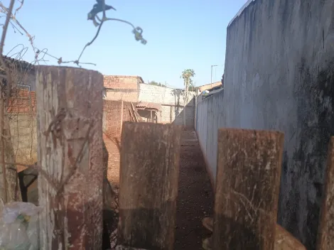 imagem 2 - Terreno de 125m² à venda - Jardim Helena imagem 2 - Terreno de 125m² à venda - Jardim Helena