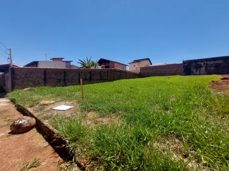 imagem 1 - Terreno de 490m² para locação e venda - City Ribeirão imagem 1 - Terreno de 490m² para locação e venda - City Ribeirão