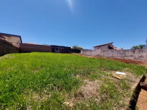 imagem 2 - Terreno de 490m² para locação e venda - City Ribeirão imagem 2 - Terreno de 490m² para locação e venda - City Ribeirão
