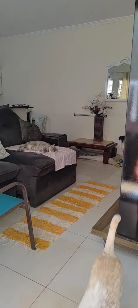 imagem 3 - Casa de 265m² com 06 quartos à venda - Jardim Joaquim Procópio de Araújo Ferraz imagem 3 - Casa de 265m² com 06 quartos à venda - Jardim Joaquim Procópio de Araújo Ferraz