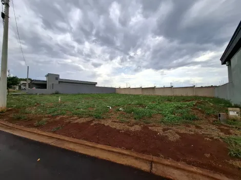 imagem 3 - Terreno de 275m² à venda em condominio - Quinta da Mata imagem 3 - Terreno de 275m² à venda em condominio - Quinta da Mata