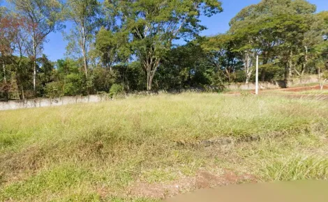 imagem 1 - Terreno  de 370m² à venda - Residencial e Comercial Palmares imagem 1 - Terreno  de 370m² à venda - Residencial e Comercial Palmares